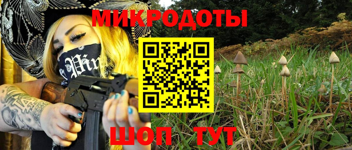 закладки  Галлюциногенные грибы GOLDEN TEACHER  Вход с VPN  Самара 